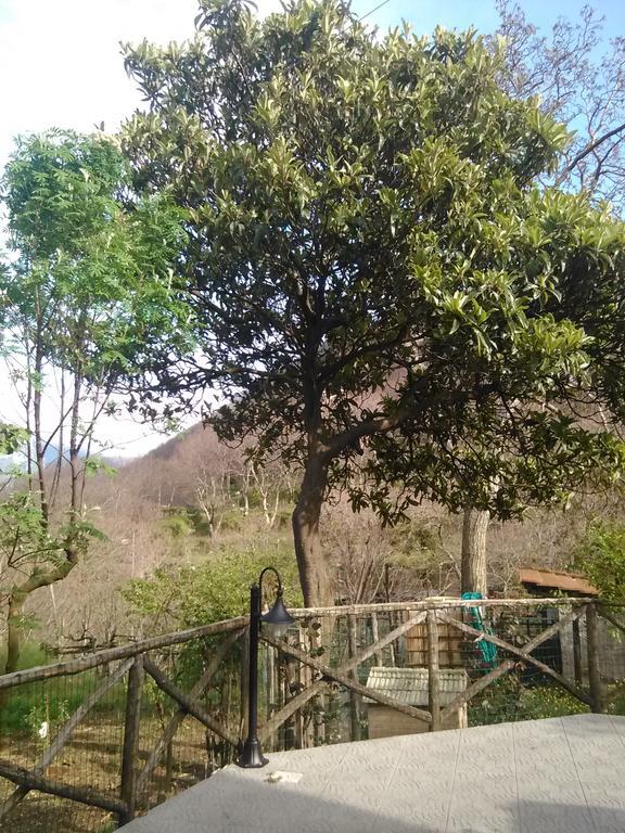 Casa Giordano Villa Tramonti Bagian luar foto